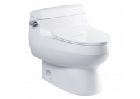 Bồn cầu TOTO 1 khối MS688T8