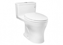 Bồn cầu TOTO 1 khối MS855DT2