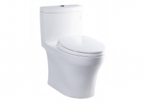Bồn cầu TOTO 1 khối MS889DRT2