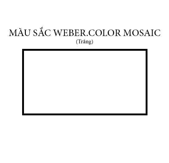 Keo dán gạch & chà ron 2 in 1 Weber.color mosaic (Trắng) (3kg)