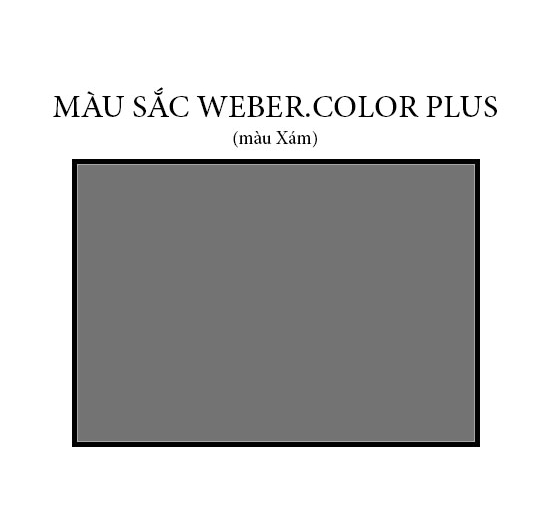 Keo chà ron Weber.color Plus (Xám) (1kg)