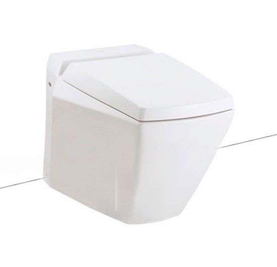 Bồn cầu đặt sàn TOTO CW681 / TCP06 / T53P100VR / TC375CVK / WH040D / MB005DG