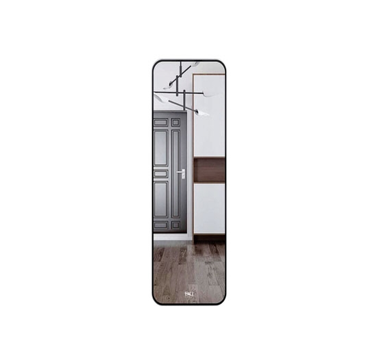 Gương soi toàn thân Đình Quốc 91903 (50x120)