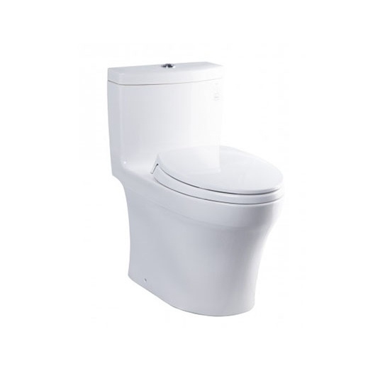 Bồn cầu TOTO 1 khối MS889DRT2