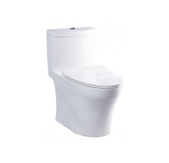 Bồn cầu TOTO 1 khối MS889DRT8
