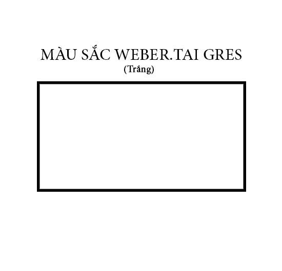 Keo dán gạch Weber.tai gres (Trắng) (20kg)